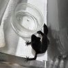 極品黑夜S01